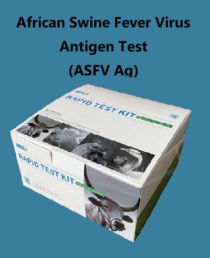 Tès antijèn viris lafyèv pòsin Afriken